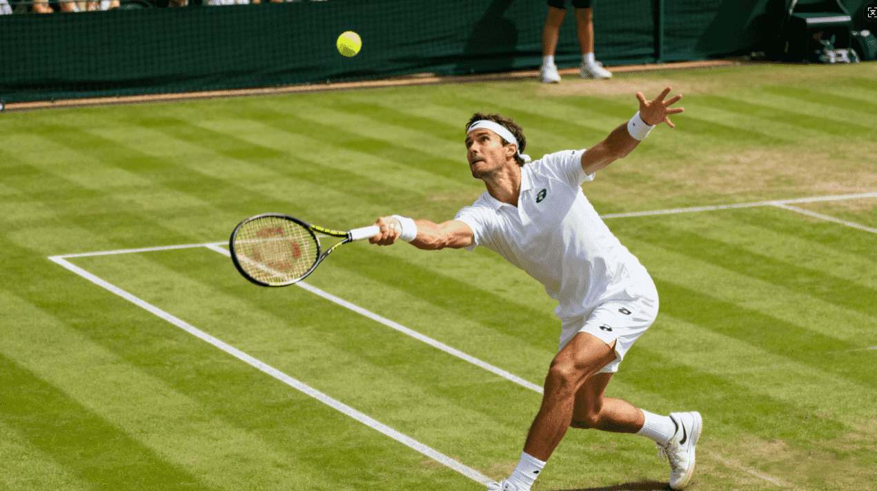 WordPress单栏主题Hoffman